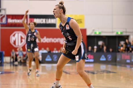 Townsville stays top of WNBL with win over Bendigo