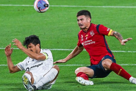 Adelaide United dominates, but held at home by Macarthur FC
