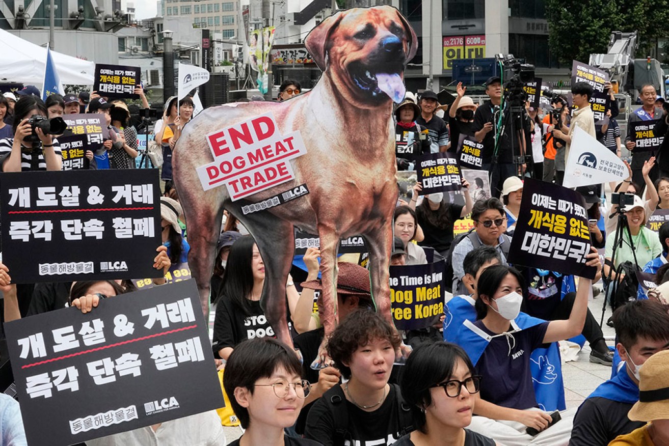 South Korea has lost its taste for dog meat, with a bill passed banning the trade from 2027. 