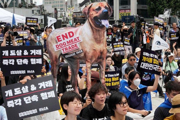 South Korea passes bill to ban dog meat trade