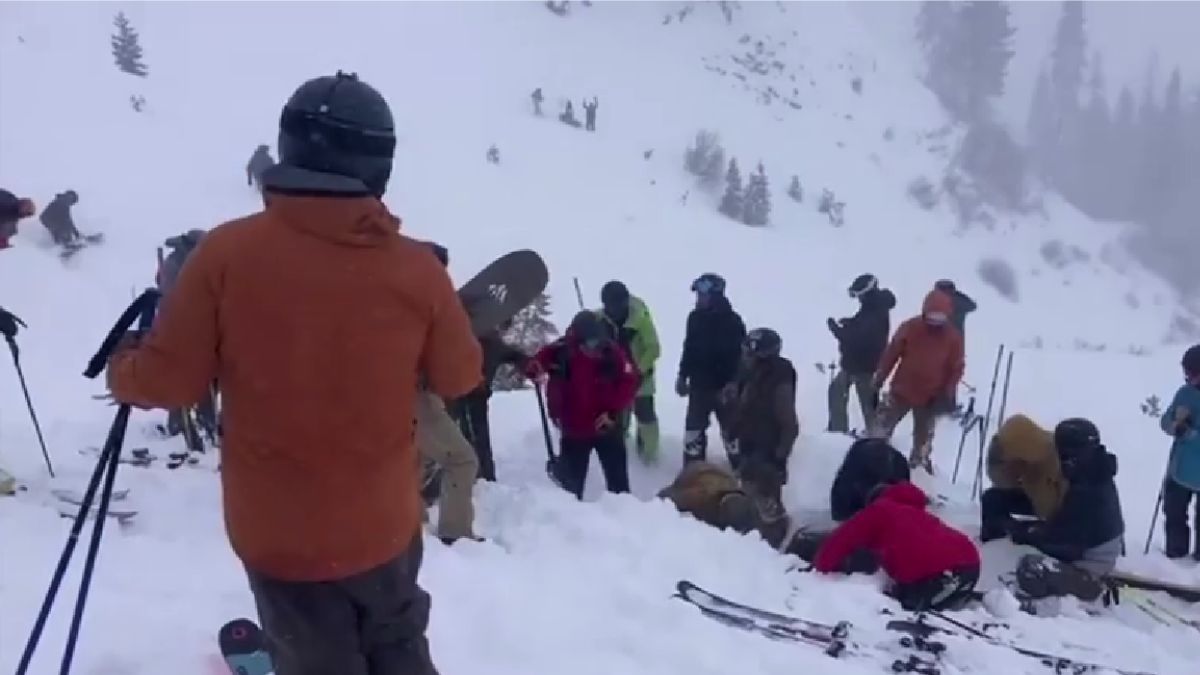 'I thought you were dead': Aussies survive US avalanche - Vimarsana News