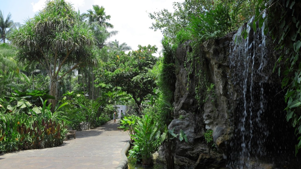 Singapore Botanic Gardens