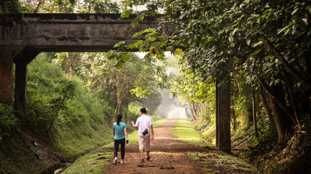 Singapore Rail Corridor Walk