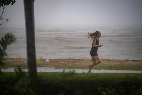 Dramatic sea rescue in sodden FNQ