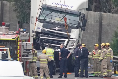 ‘Deceitful and deliberate’: Connect Logistics executive jailed over deadly truck crash