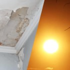 Heatwaves ahead as Australian homes face mouldy fallout of humidity