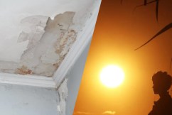 Heatwaves ahead as mouldy fallout hits homes