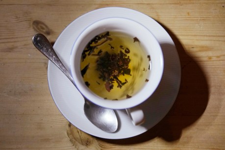 US scientist brews storm by offering UK advice on tea