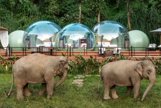 A night at Thailand’s luxe elephant sleepover