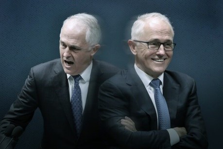 Turnbull slams Coalition colleagues in <i>Nemesis</i>