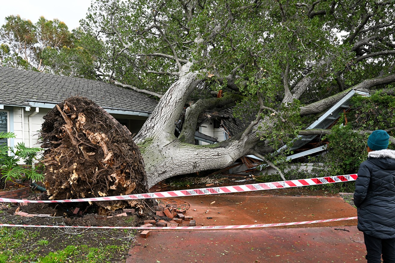 Storms have lashed California, causing widespread flooding, felling trees and cutting power for thousands. 