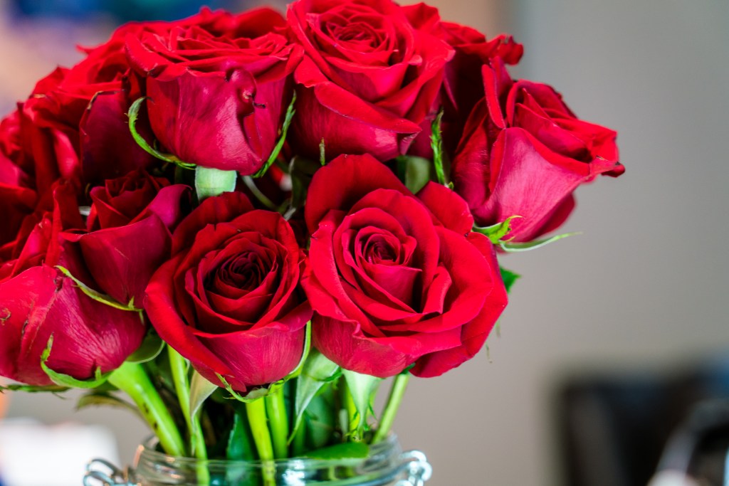 Valentine's day red roses and beautiful flowers for your special someone sitting on kitchen counter waiting for you to come home to