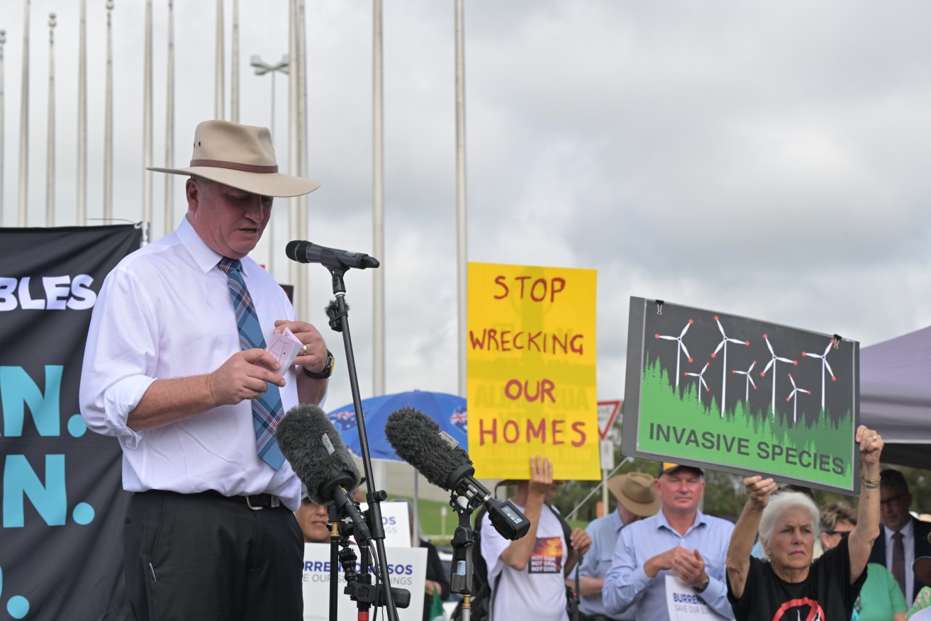 Shadow Minister for Veterans' Affairs Barnaby Joyce speaks during a rally against renewable energy at Parliament House.