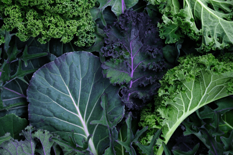 Leafy greens are key for oral health, research finds 