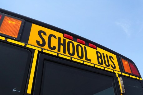 School bus measles warning after virus case in NSW’s Northern Rivers