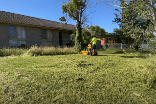 Lawn mowers raking it in, helping people smile