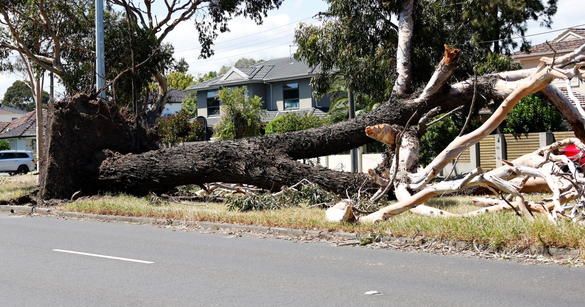 Clean up continues, as 24,000 homes still without power