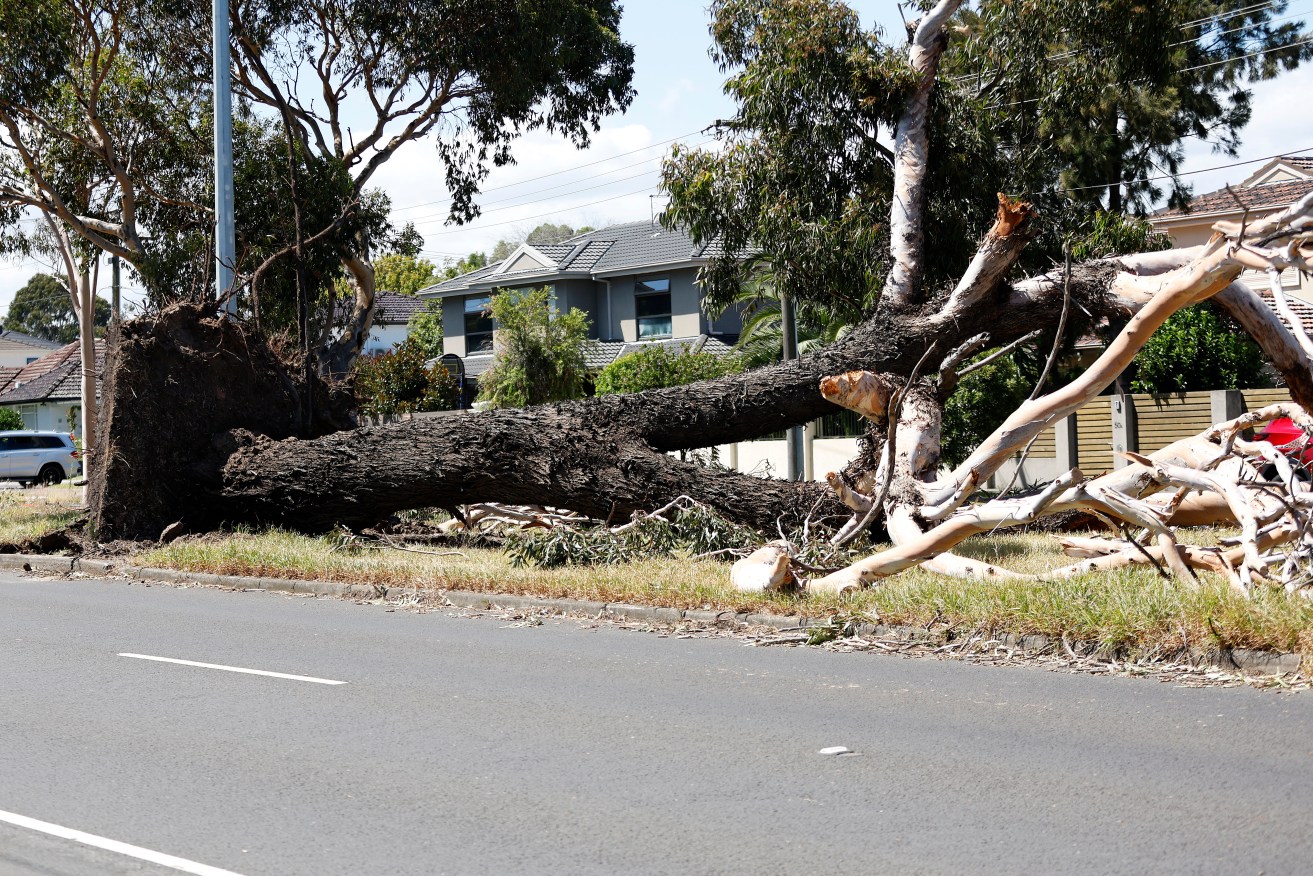 SES crews are busy as communities recover from the storm on Tuesday.