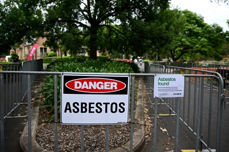 Company linked to asbestos scare challenging ban