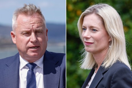 High-profile candidates jostle for Tasmanian election seats