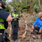 Bob Brown charge, ban over giant tree logging protest
