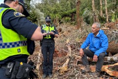 Brown charge over tree logging protest