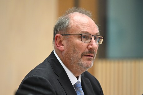 New Qantas chair named, airport crack down