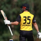 Hilton Cartwright steers WA to third straight one-day title