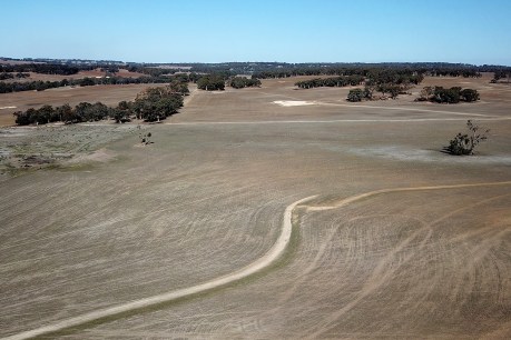 Welcome rain for WA wheatbelt as Lincoln heads south