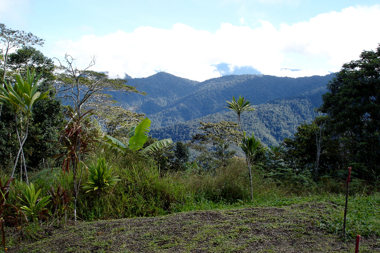 An Australian helicopter pilot taken hostage with two locals in Papua New Guinea has been freed.