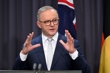 ‘Worse than Morrison’: PM scolds Dutton’s plan