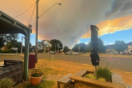 Last chance to evacuate, as bushfire 'beast' threatens