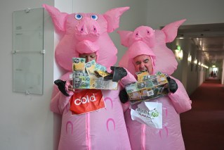 Piggy politicians squeal for end to greedy grocers