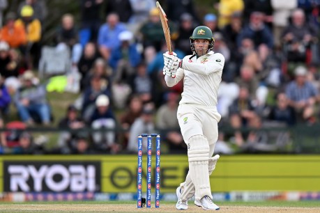 Alex Carey guides Australia to NZ series win