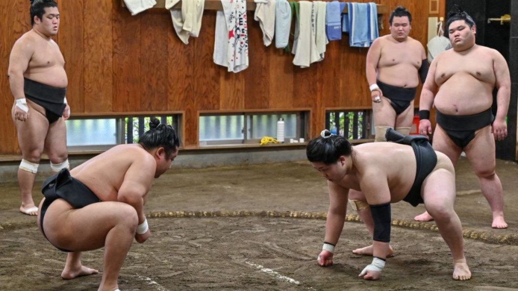 Tokyo Sumo Wrestlers