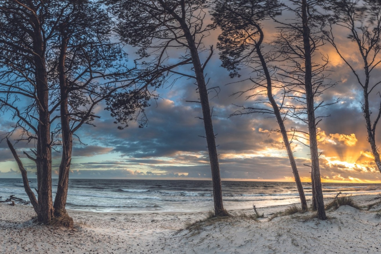 Denmark's Dueodde Beach. Photo: Lonely Planet