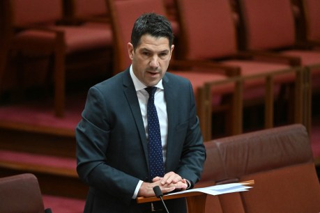 Antic declares left wing ‘pandemic’ as SA Liberals’ shift to right confirmed