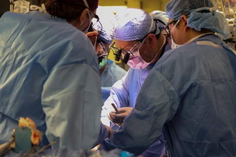 First pig-to-human kidney transplant performed in US