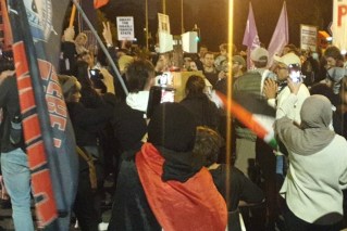 Pro-Palestine activists arrested at port protest