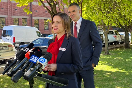 Labor’s Cressida O&#8217;Hanlon confirmed as Dunstan byelection winner after late drama