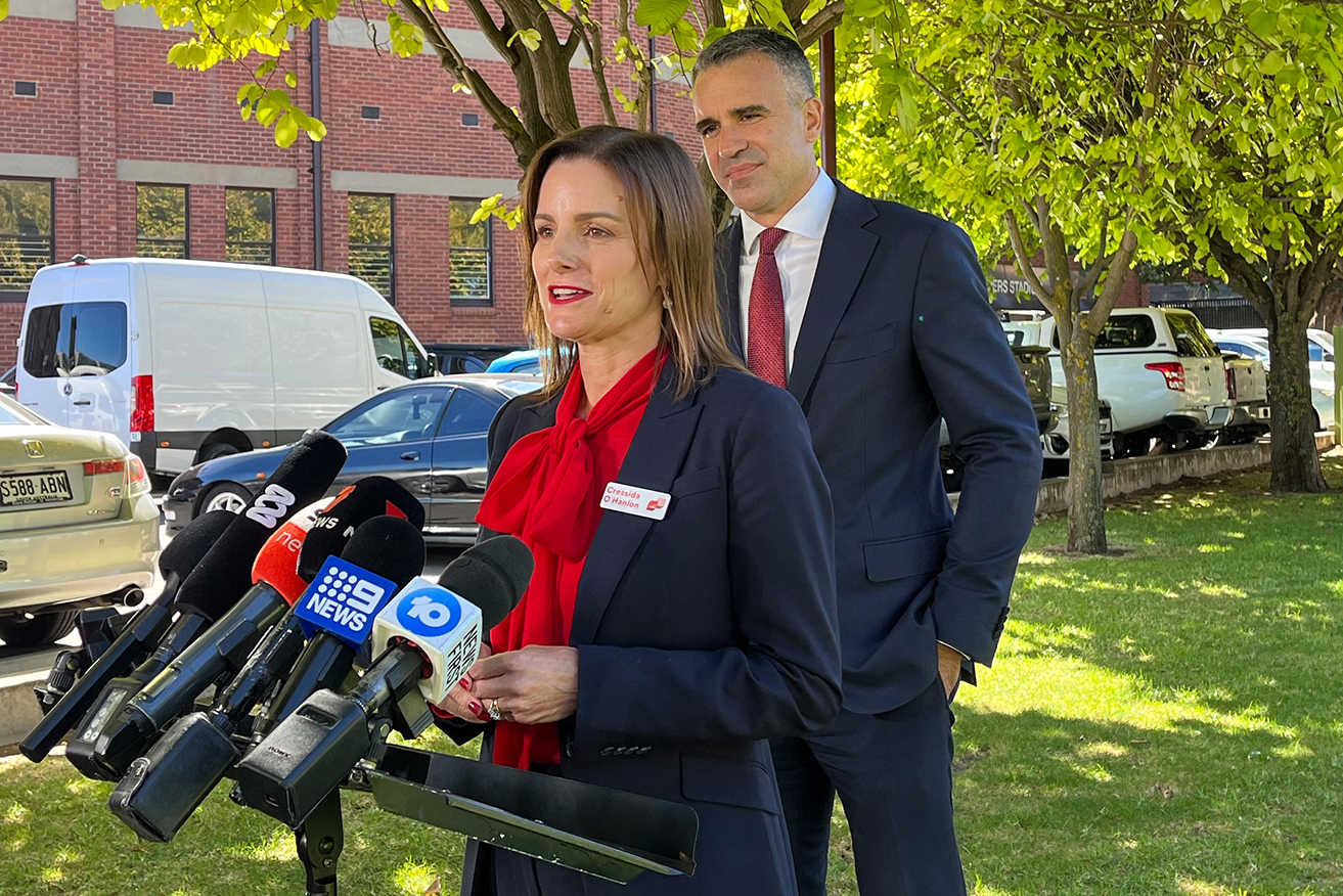 Cressida O'Hanlon has survived a late vote-counting scare to win the SA seat of Dunstan.