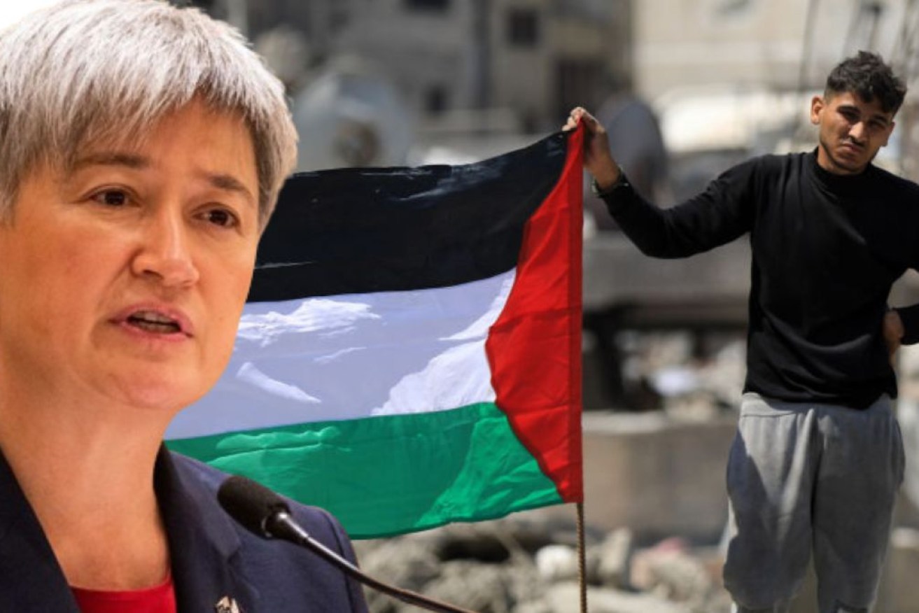 Foreign Minister Penny Wong says recognising Palestine is the only hope of ending violence.