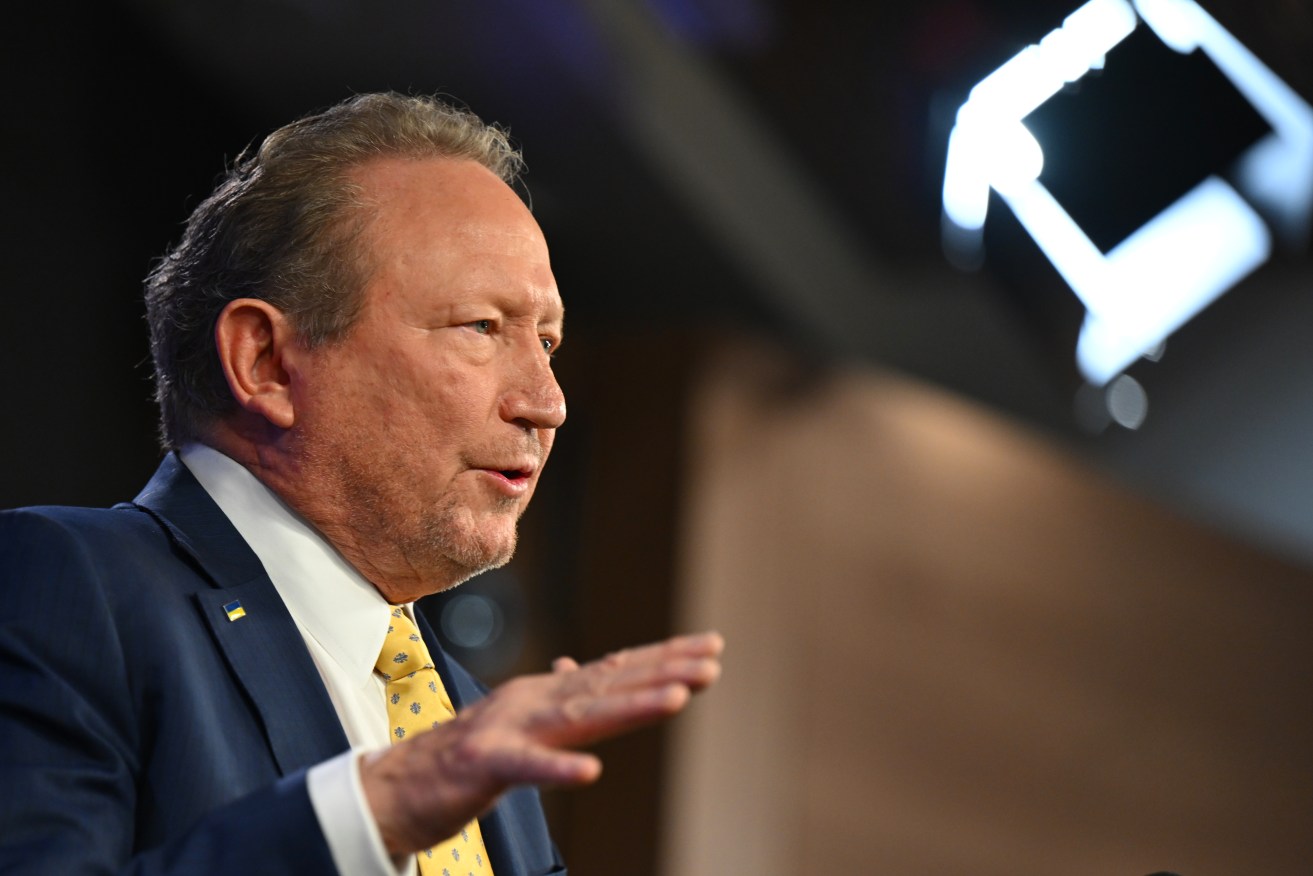 Andrew Forrest has accused Facebook's parent company Meta of being reckless.