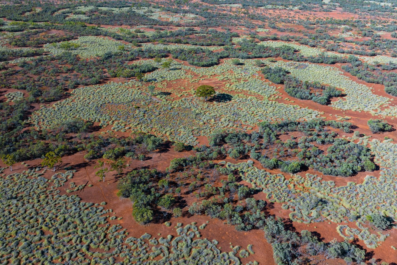 Vergemont Station near Longreach, Queensland, will be turned into a national park. 