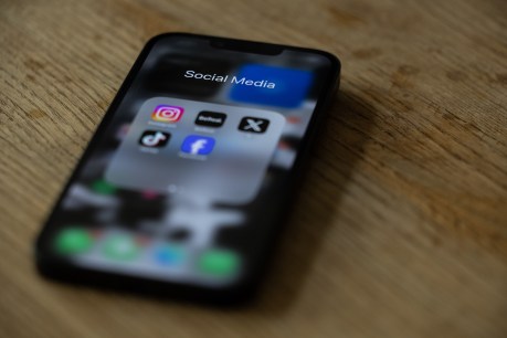 Anthony Albanese’s social media ban a ‘deeply flawed plan’