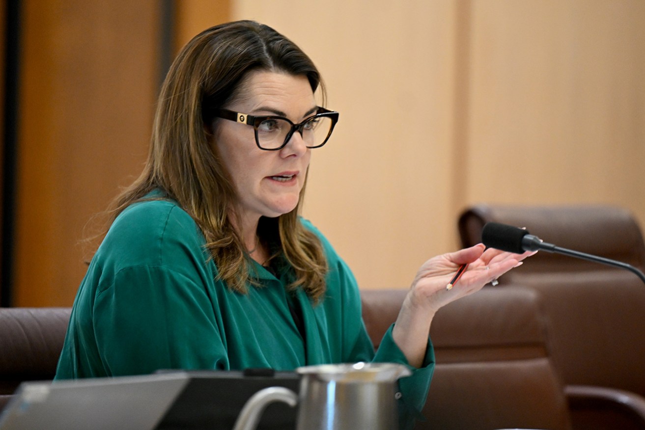 Senator Sarah Hanson-Young wants stronger laws to ban misleading environmental claims.