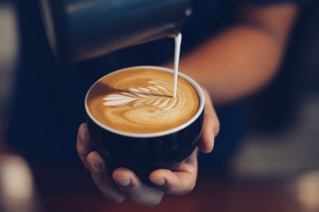 ‘If I increase the price, I may lose my business’: Should Australians pay more for coffee?