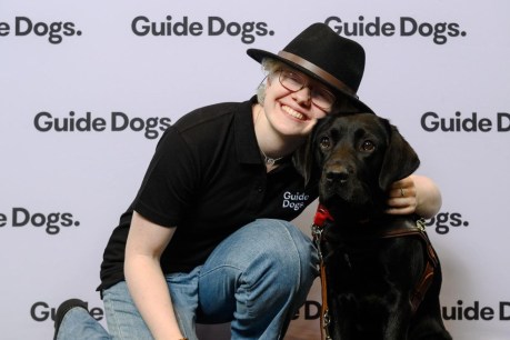 ‘Most just drive past’: Poor treatment of guide dog handlers under scrutiny