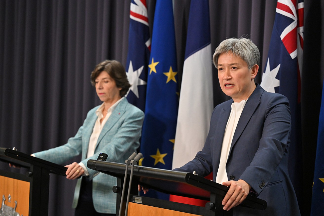 Catherine Colonna headed a review into an aid agency that has been welcomed by Penny Wong.