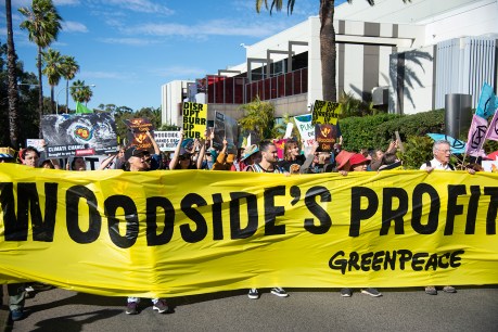 Woodside shareholders reject climate plan amid AGM protests